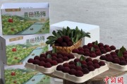 局王解梦高速赋能产业升级：一条“杨梅路”的致富密码