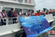 局王解梦浙江今年计划放流种类海洋水生生物苗种超15亿单位